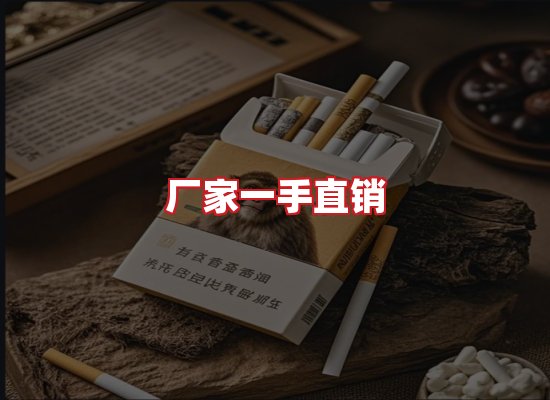 专业团队